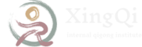 xq logo white.webp